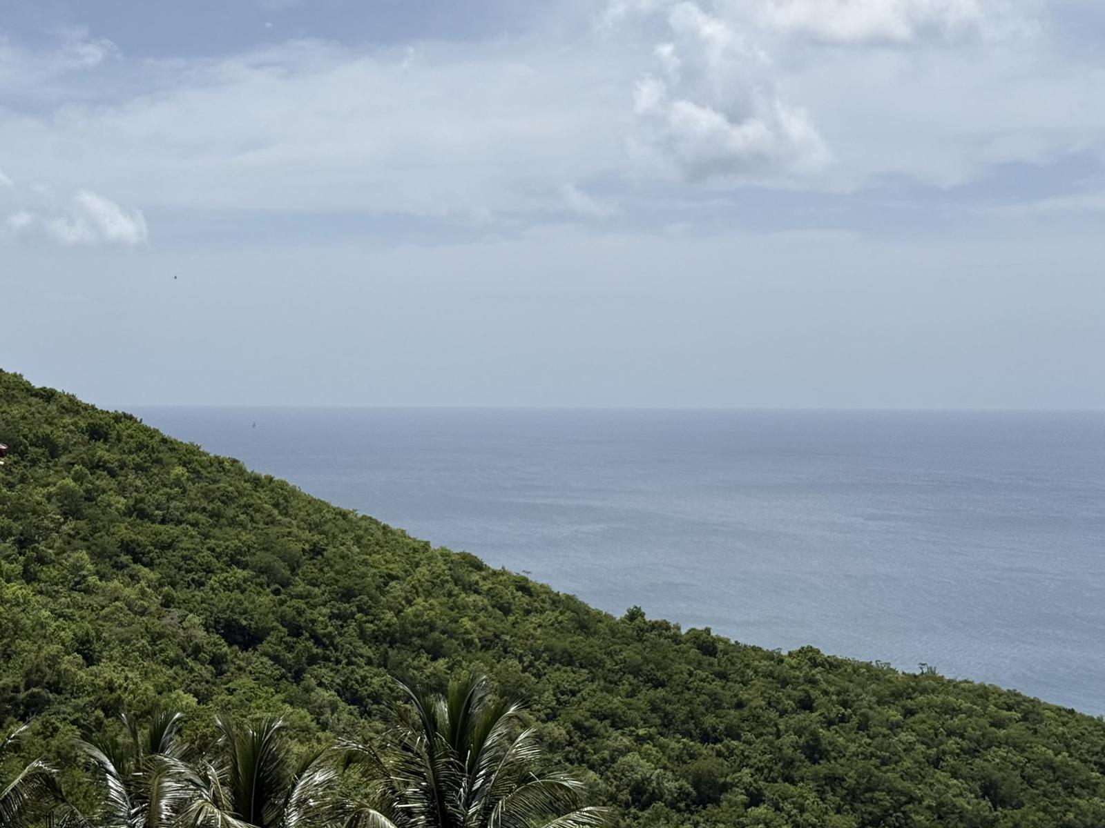 .9 acre and 1 acre land - Rogues Bay — photo 2