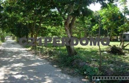 Development lot for sale in Las Terrenas: Unique opportunity — photo 4