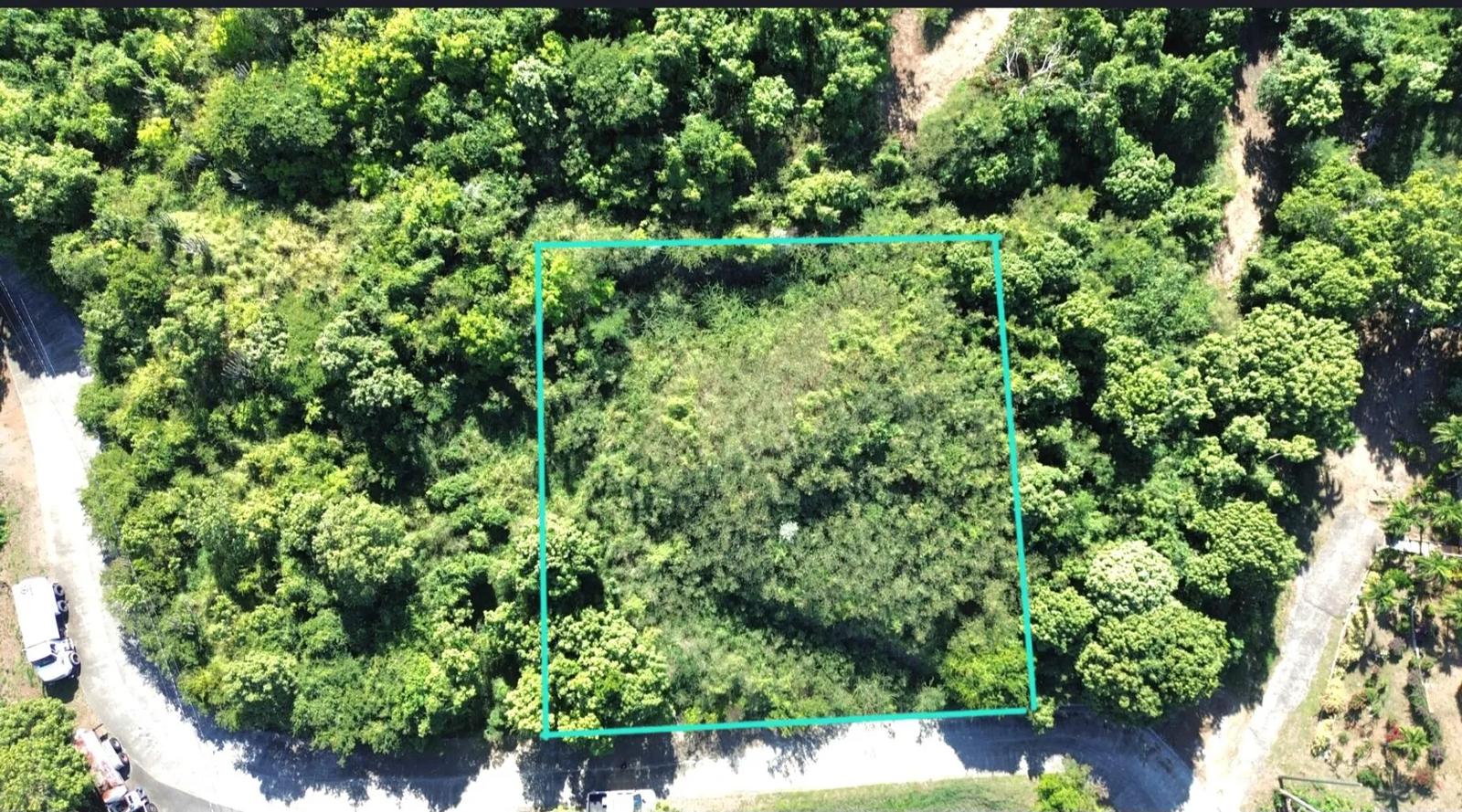 0.25 Acre Homesite Lot in St. Croix — photo 2