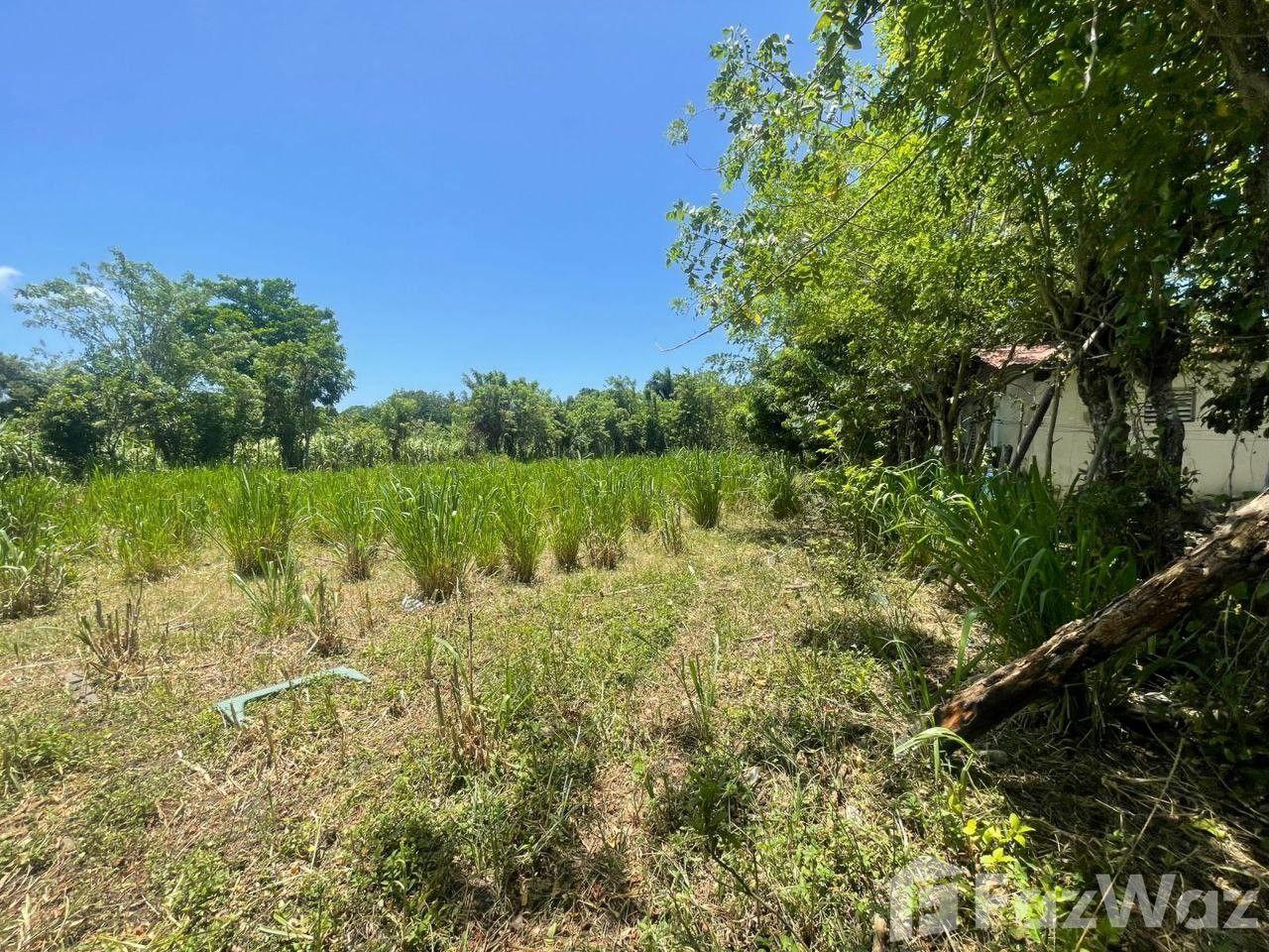 Land for Sale in Maimón – Ideal for a Tourism Project — photo 3