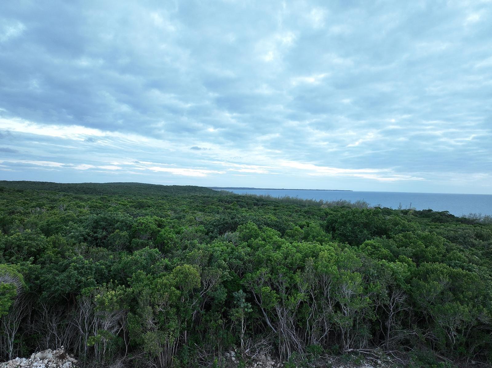 LOT 21, SUNSET BAY — photo 5
