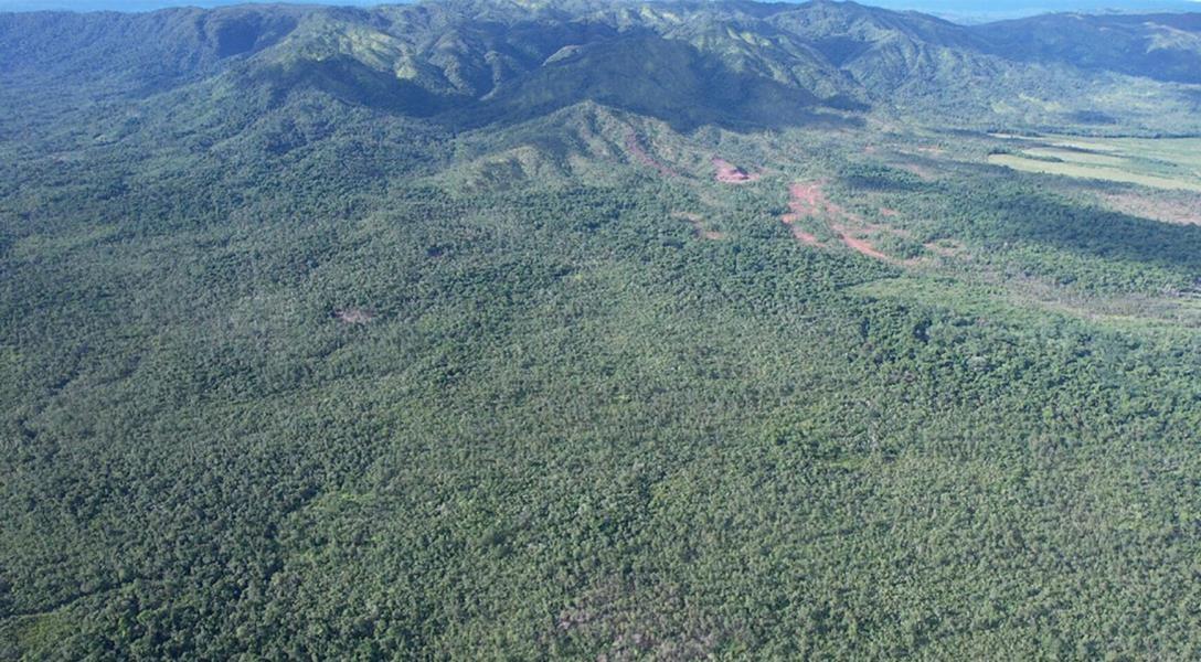 Excellent Development Opportunity — 87 Acres of Lush Jungle Near Santa Cruz — photo 3