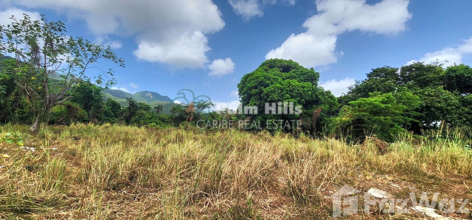 Land for sale at Puerto Plata in San Felipe De Puerto Plata, Puerto Plata, Dominican Republic — photo 1