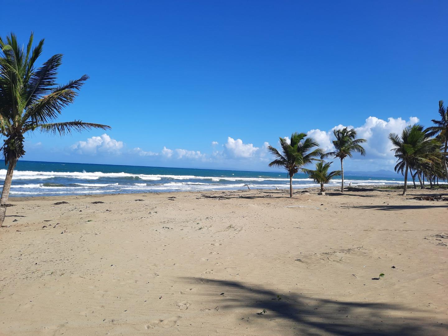 New Price Full Oceanfront 3 Bed 3 Bath Condo — photo 4