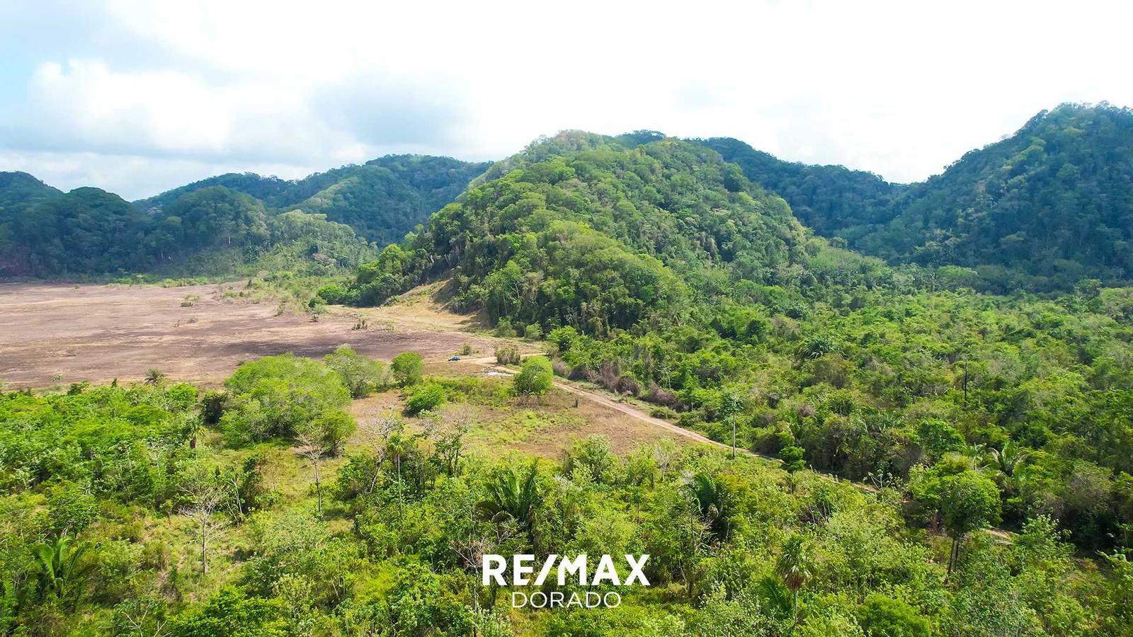 50 Acres Off-Grid Paradise with Mini River and Natural Spring & Year-Round Access — photo 4