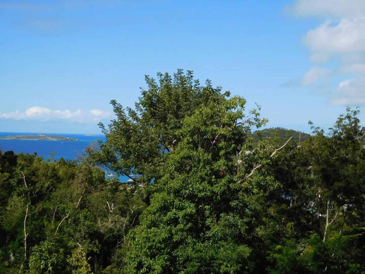 0.56 Acre Lot in Virgin Grand Estates — photo 2