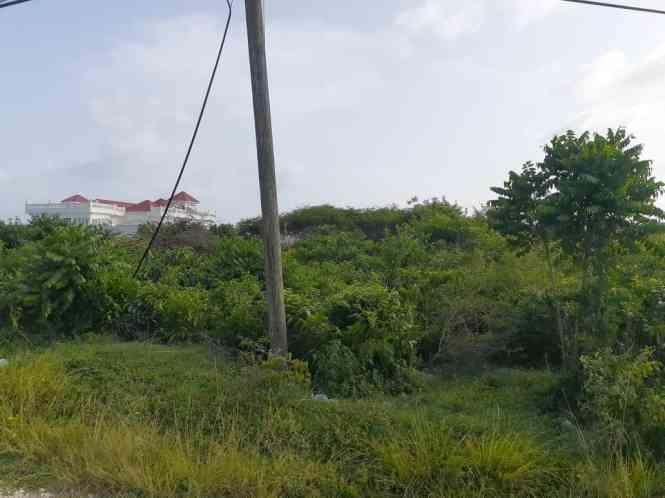 Lot 88 Prospect, Lyssons, P.o. St. , JAMAICA — photo 1