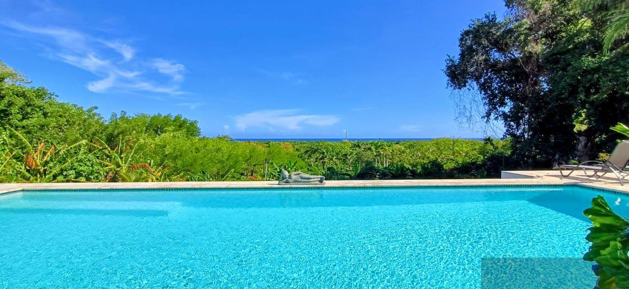 Luxury Oceanview Villa, Lomas Mironas, Cabarete — photo 1