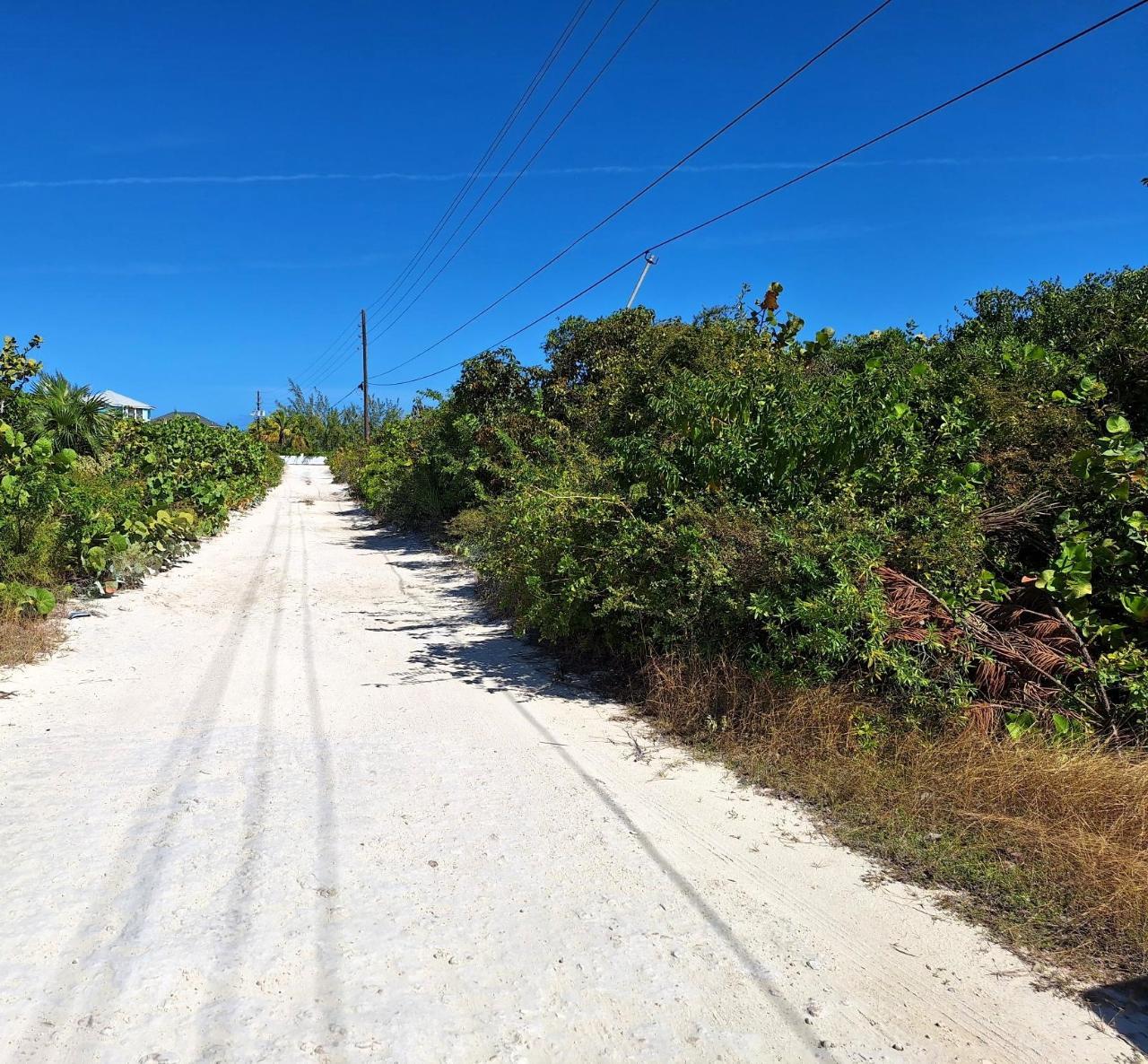 PERCY ROAD — photo 3