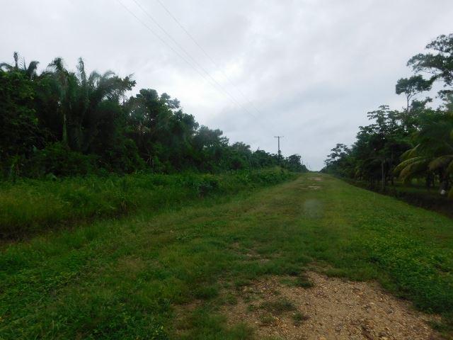 #2510 - 70 ACRES + RIVER - STANN CREEK DISTRICT, BELIZE — photo 2