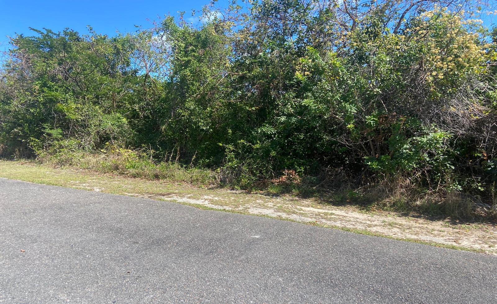 Vacant Land for sale in Jacaranda, Bahamas — photo 3