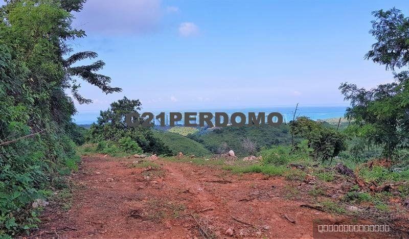 Large Property with several Plateaus in Las Terrenas, Samana — photo 2