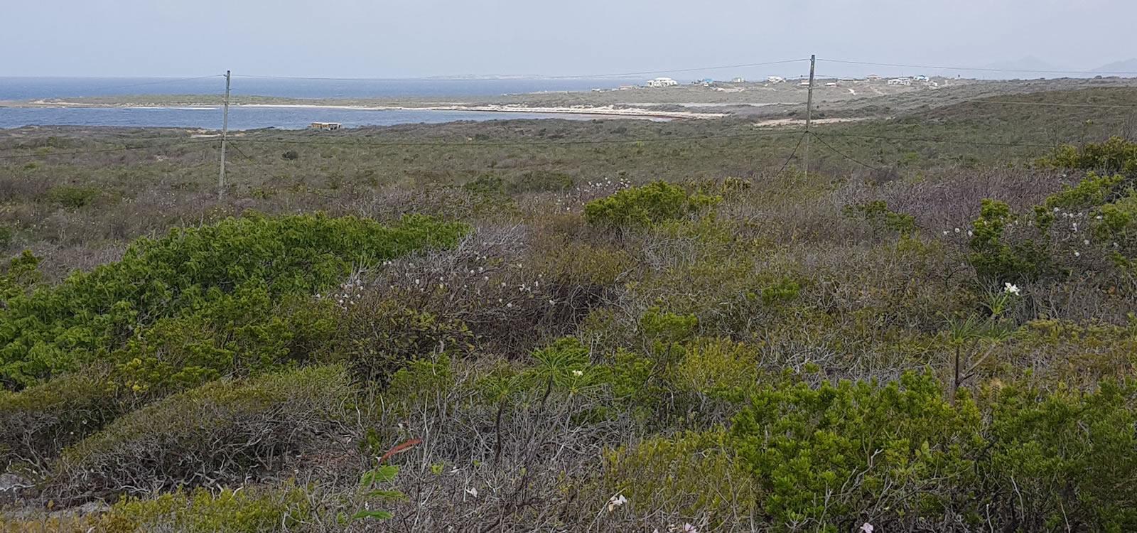 0.45 Acres of Land for Sale, Captains Ridge, Anguilla — photo 3