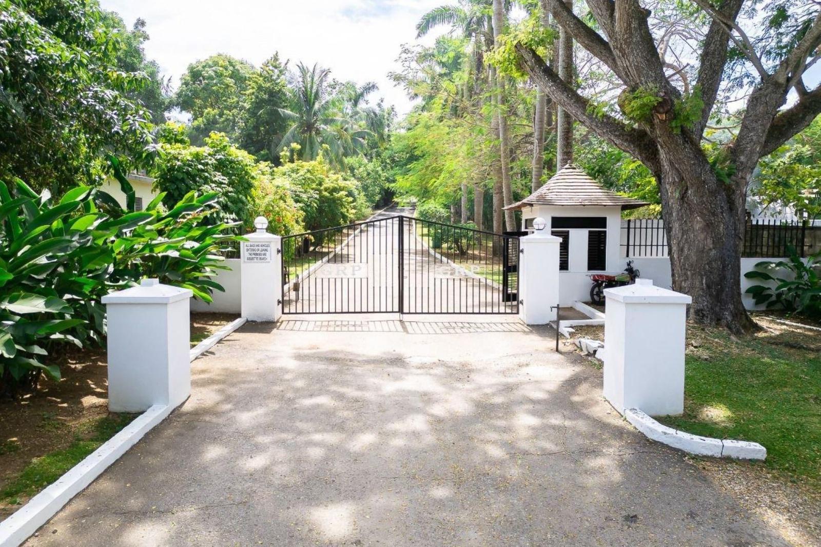 2.86 Acre Lot for Sale, Great River Estate, St James, Jamaica — photo 4