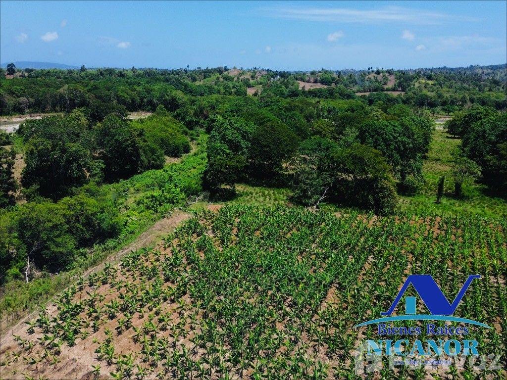 Banana plantation farm for sale in Imbert, Puerto Plata — photo 1