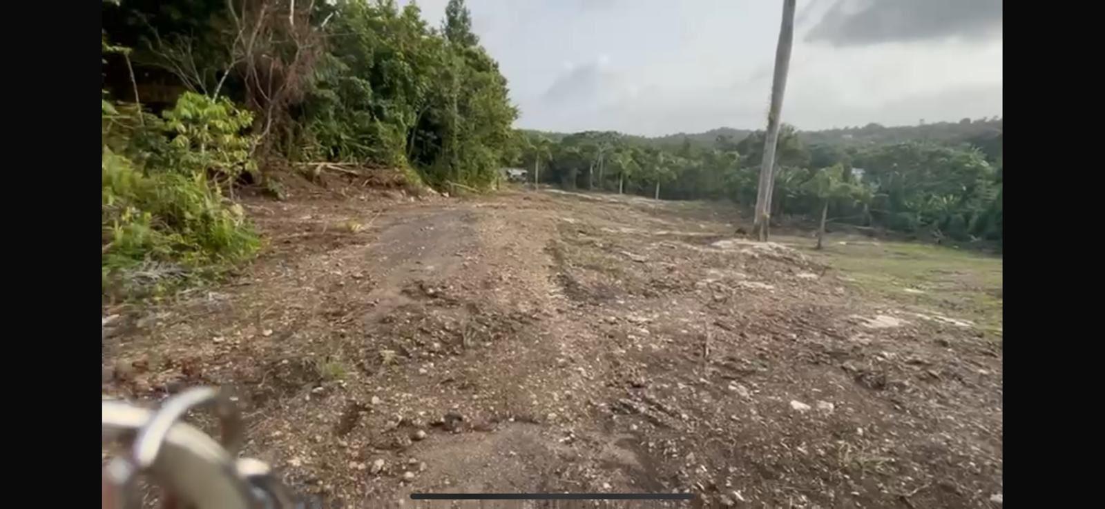 Land Near Rio Camuy Cave System — photo 5