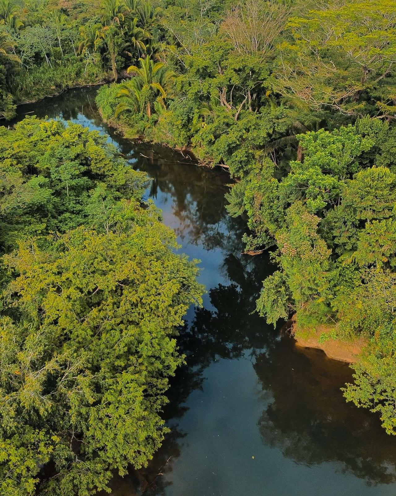 Prime Real Estate Opportunity in Belize: Two Parcels with Endless Potential — photo 4