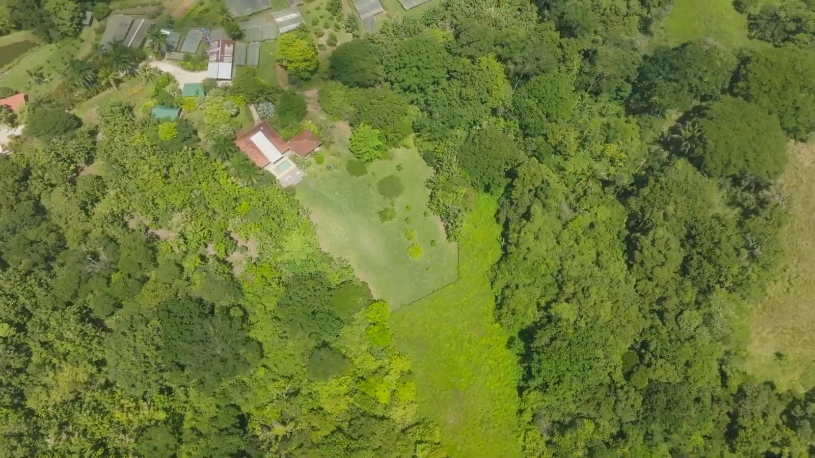 Organic Farm with Five Homes — photo 3