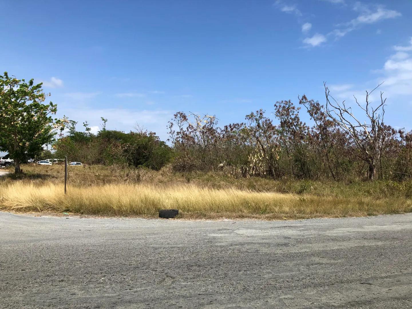15 Acre Unimproved lot — photo 5