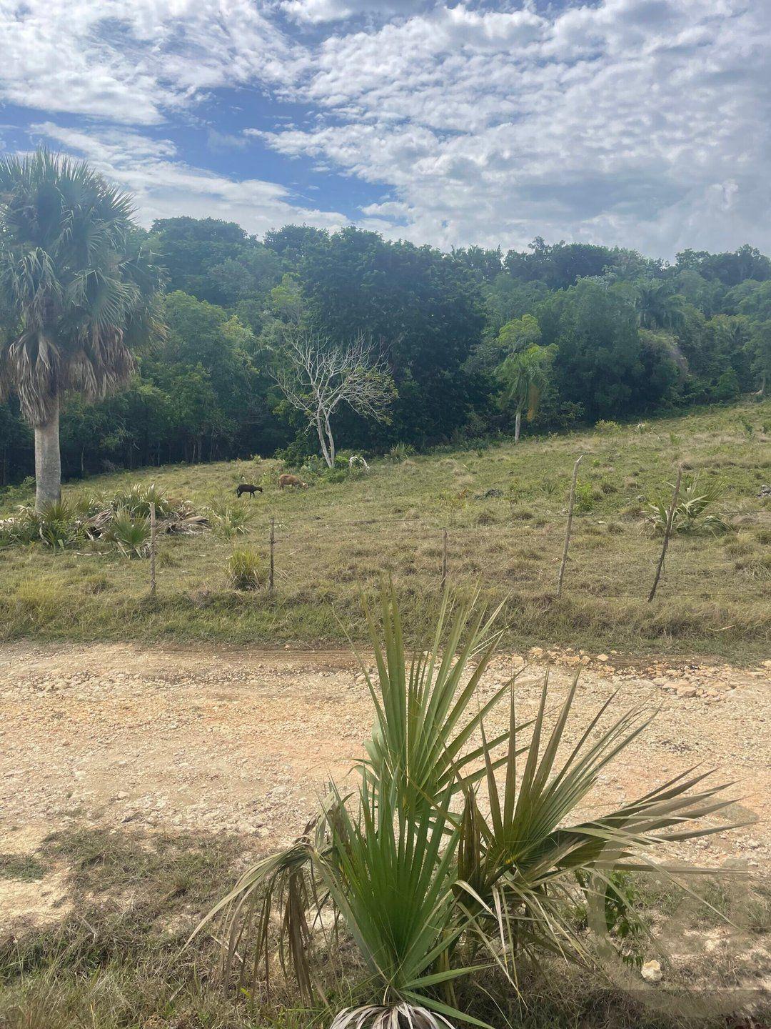 Residential Development Lot for sale in El Choco, Sosúa — photo 2
