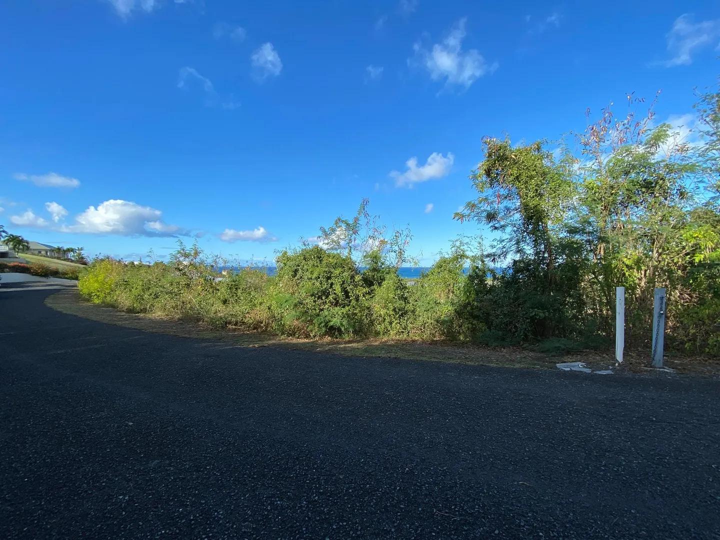 Homesite with Buck Island & Green Cay views — photo 4