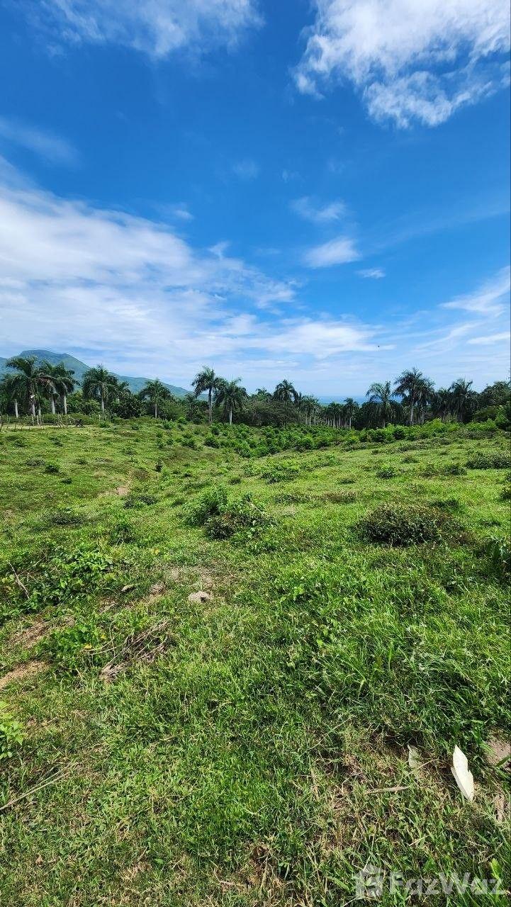 Land for Sale at El Cupey, San Felipe De Puerto Plata — photo 1