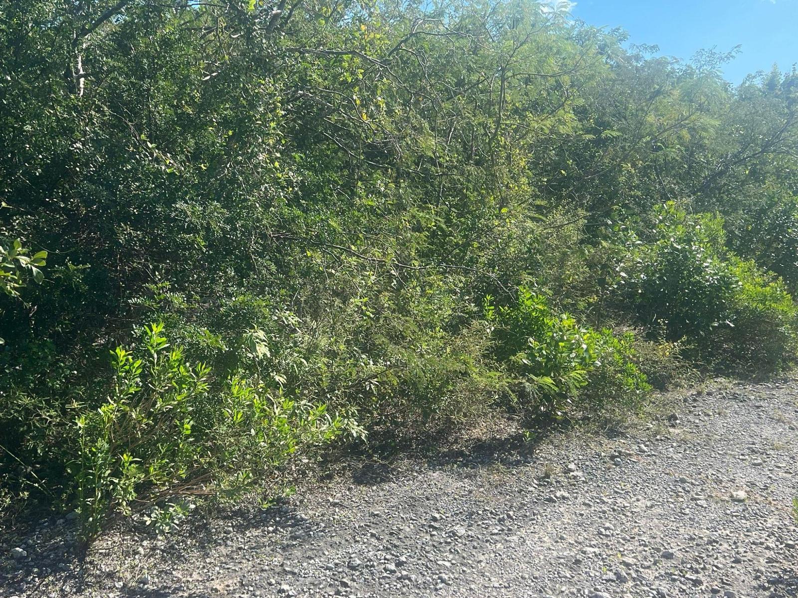 SANDALWOOD ROAD, — photo 3