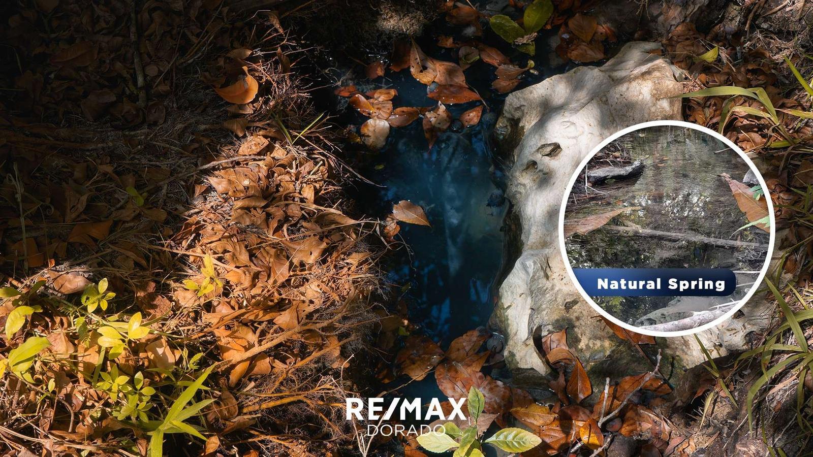 50 Acres Off-Grid Paradise with Mini River and Natural Spring & Year-Round Access — photo 2