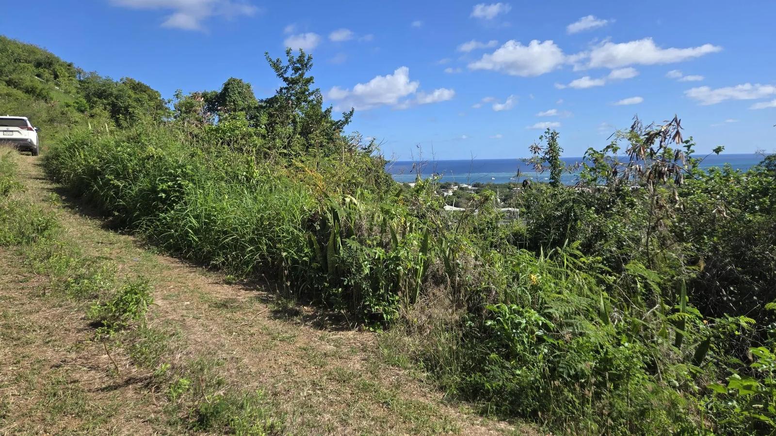 0.41 Acre Homesite in Christiansted, US Virgin Islands — photo 5