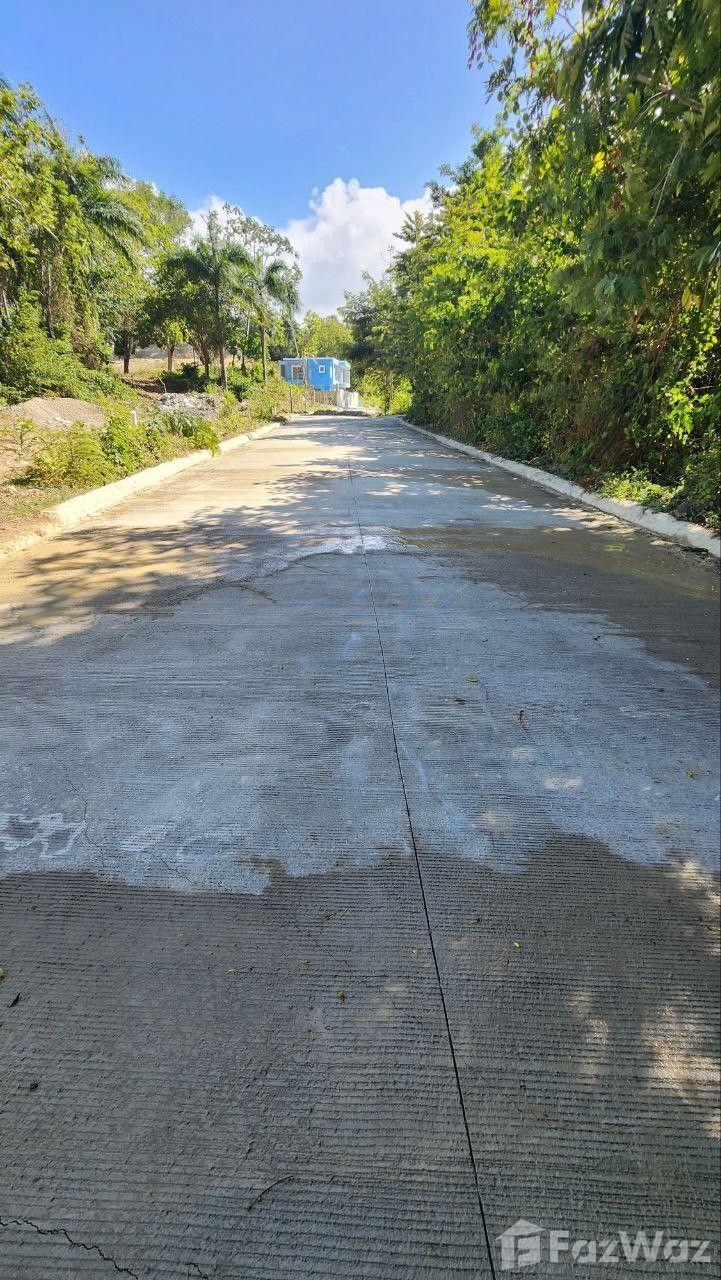 426.58 SqM Land Plot in Residencial El Doral — photo 4
