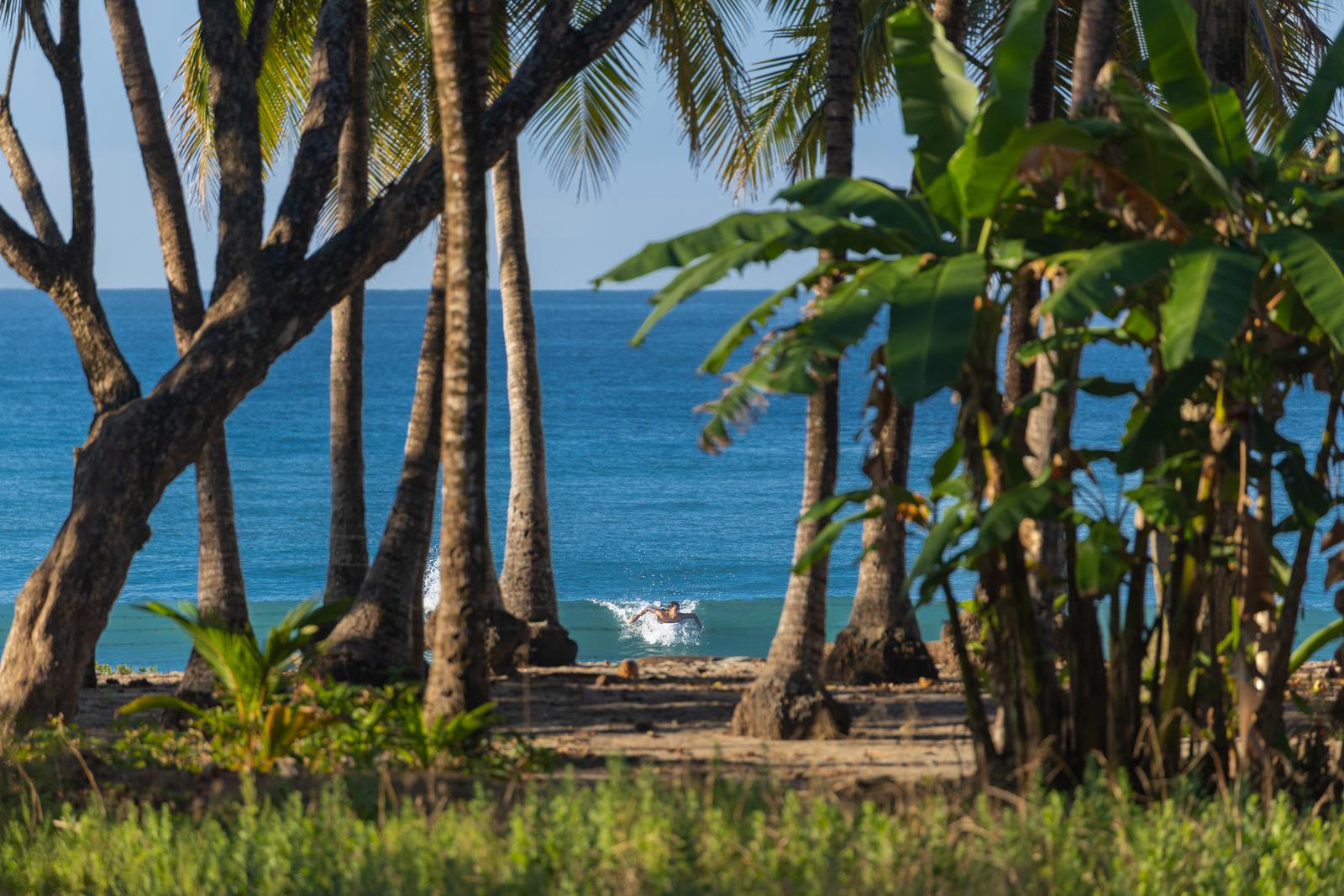 2.64 Acres Beachfront Land for Sale in Santa Teresa, Costa Rica — photo 3