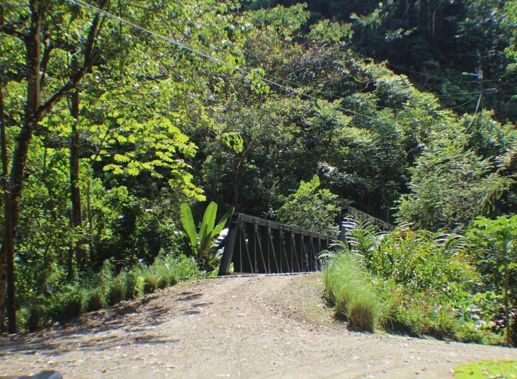Affordable Jungle Home with a Waterfall! Puntarenas, Costa Rica — photo 3
