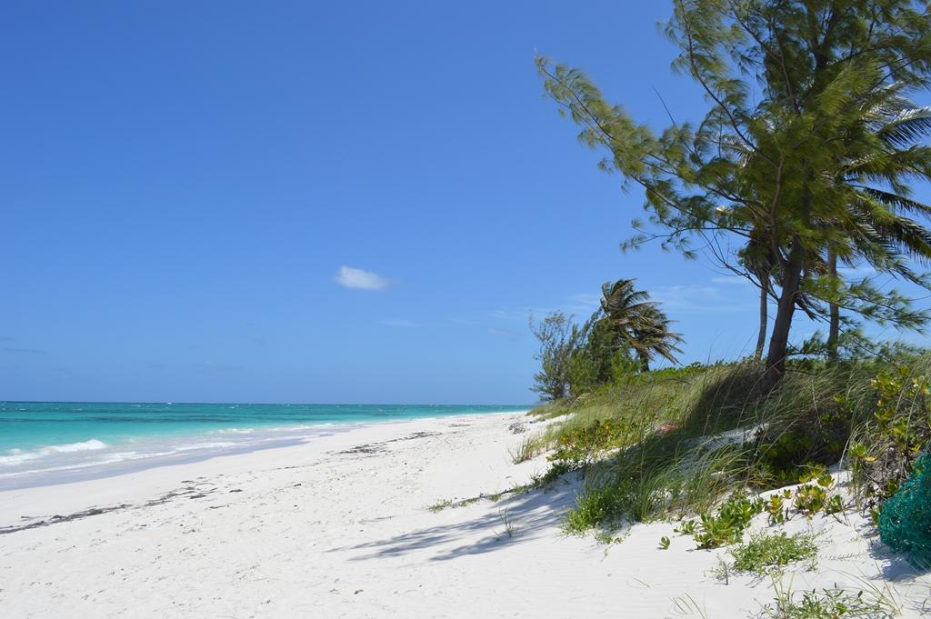 Beachfront Lot in Greenwood Estates, South Cat Island — photo 5