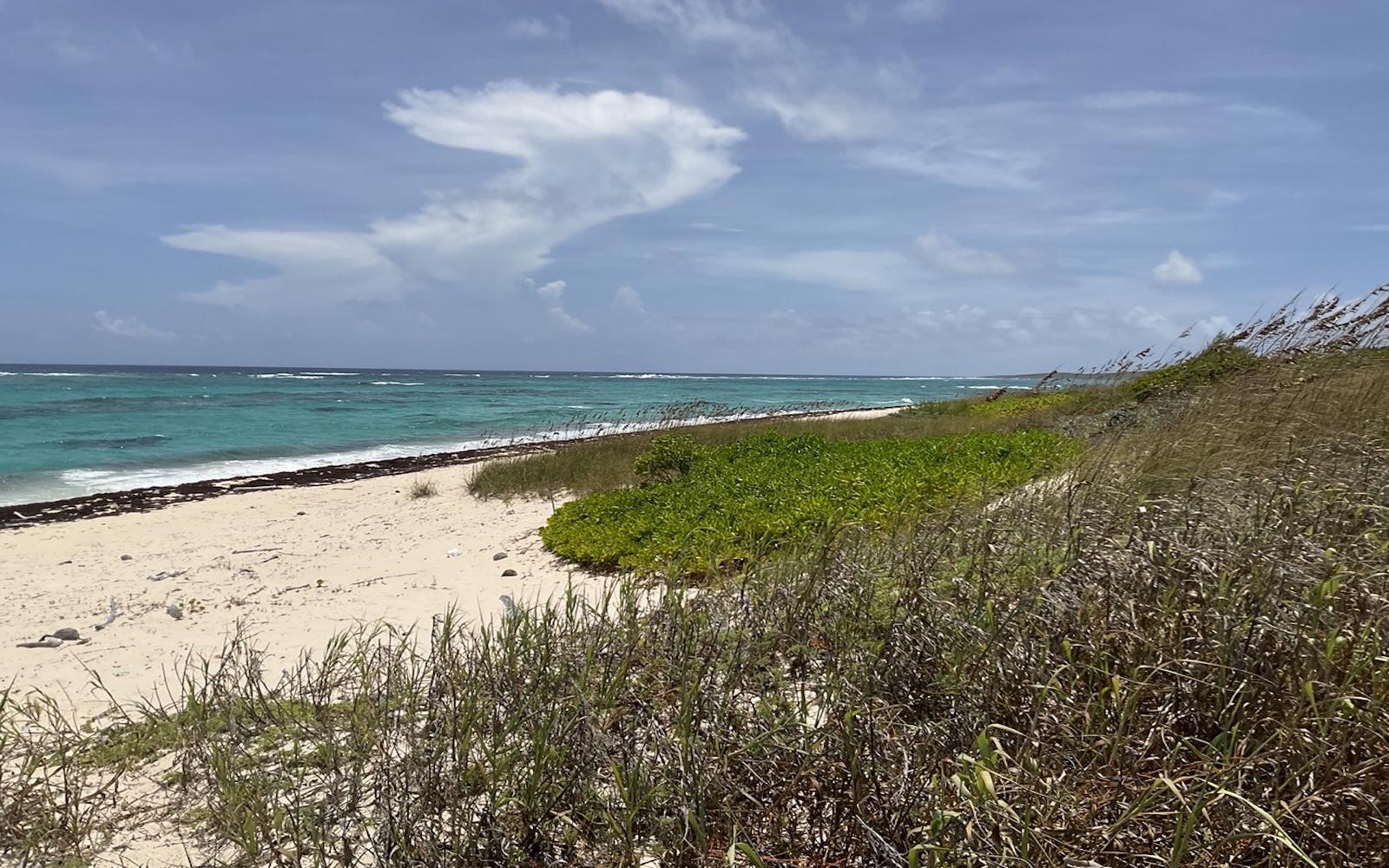 Beachfront Lot, 29.82 Acre - MLS 68148 — photo 1
