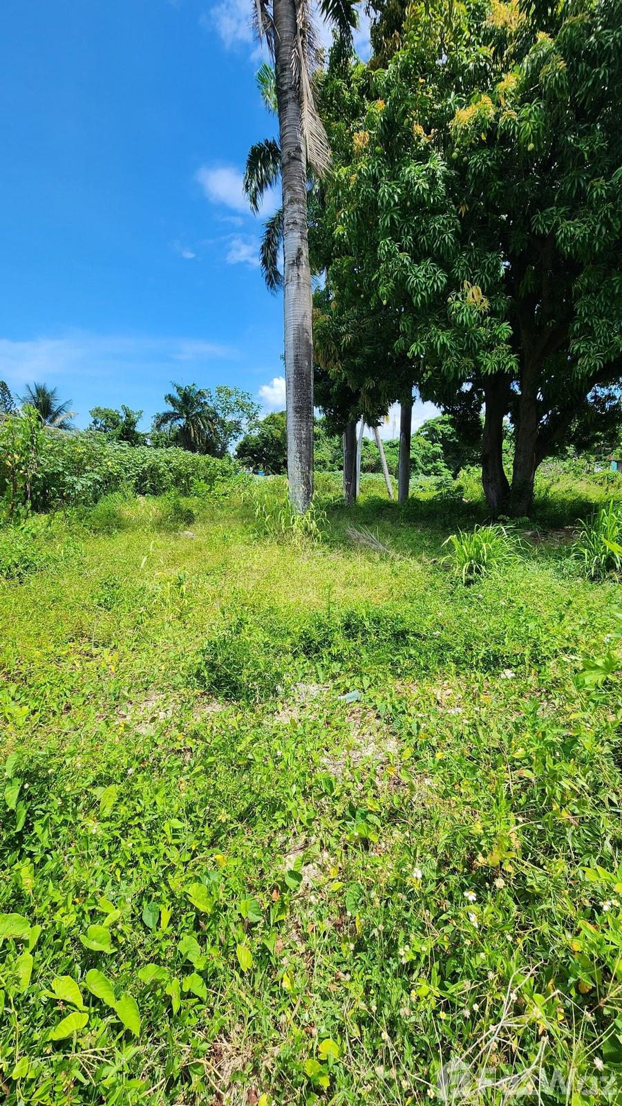 2000 SqM Land Plot for Sale in San Felipe De Puerto Plata — photo 3