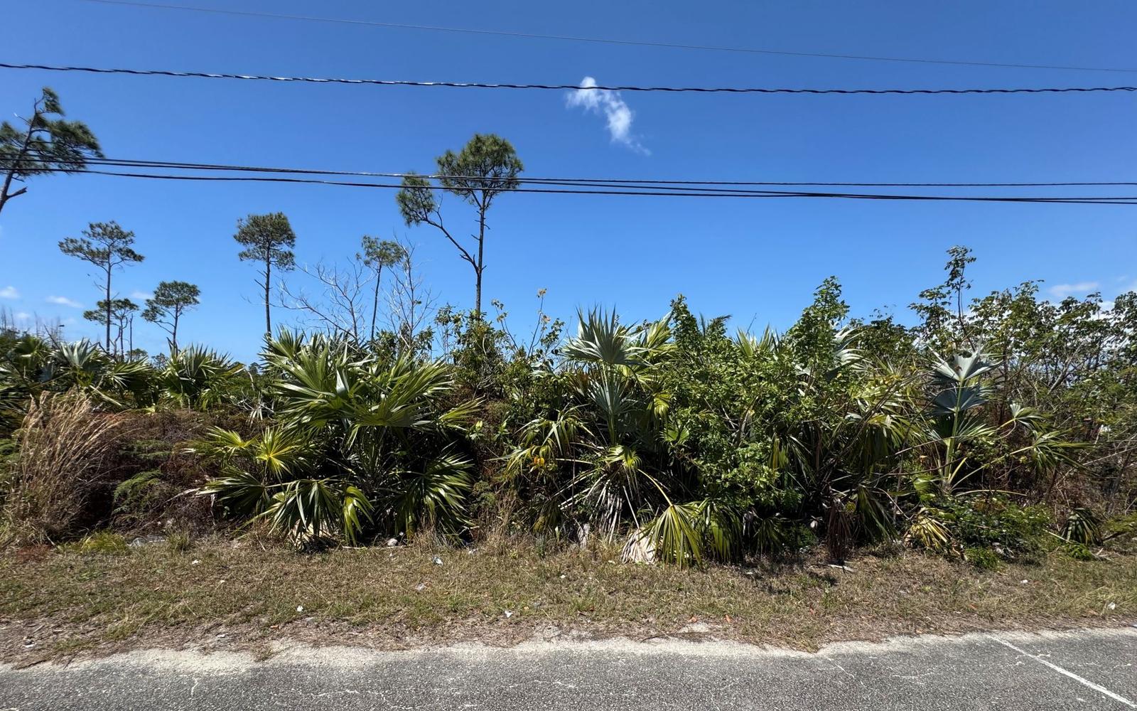 Lot 9, Columbus Way - MLS 67769, Bahamia — photo 5