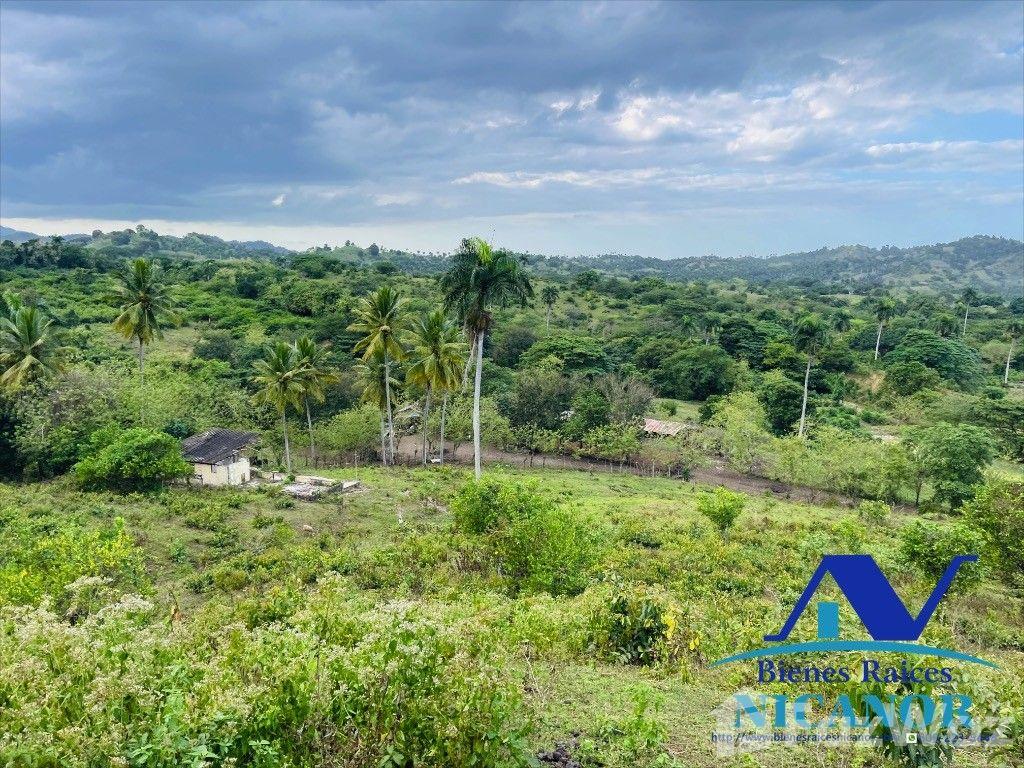 Cattle farm for sale, 2,300 tareas and up in San Felipe De Puerto Plata — photo 5
