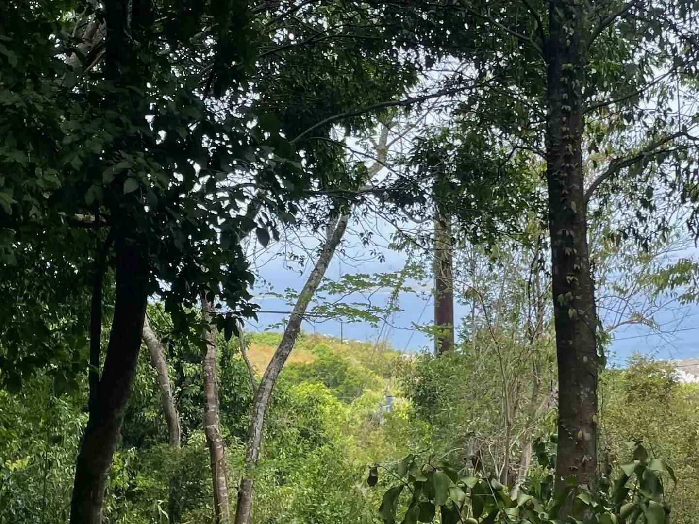 P Rem Gift & Regenback Land for Sale — photo 2