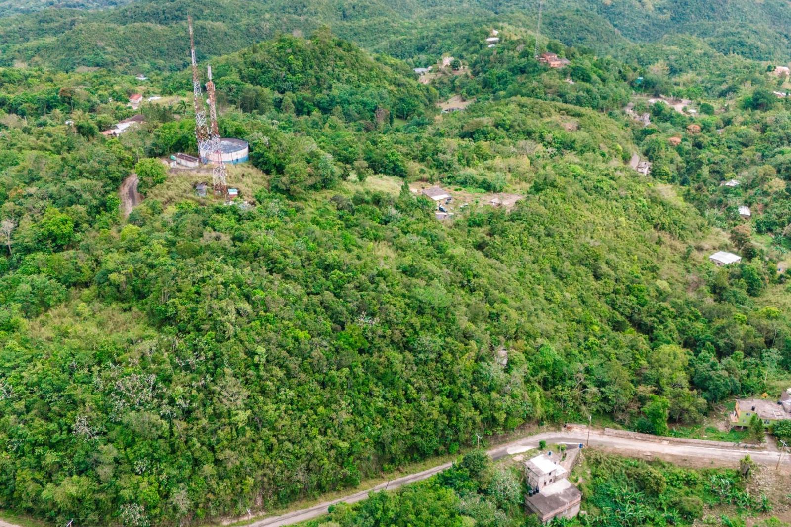 0.18 Acres of Residential Land for Sale in Cooper's Hill, Red Hills, Kingston — photo 3