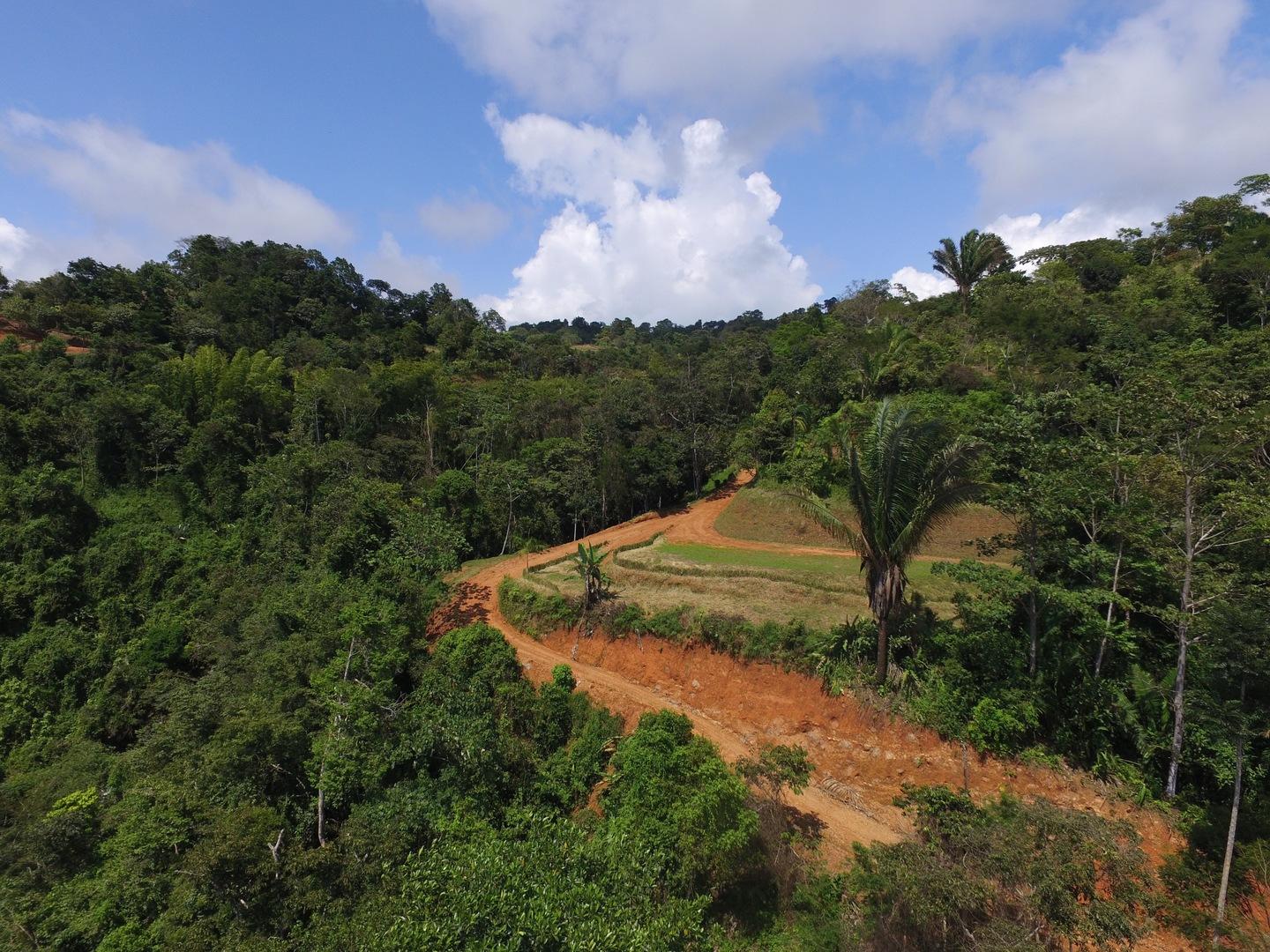 34 Acres of Farm Land for Sale, Platanillo, Puntarenas, Costa Rica — photo 4