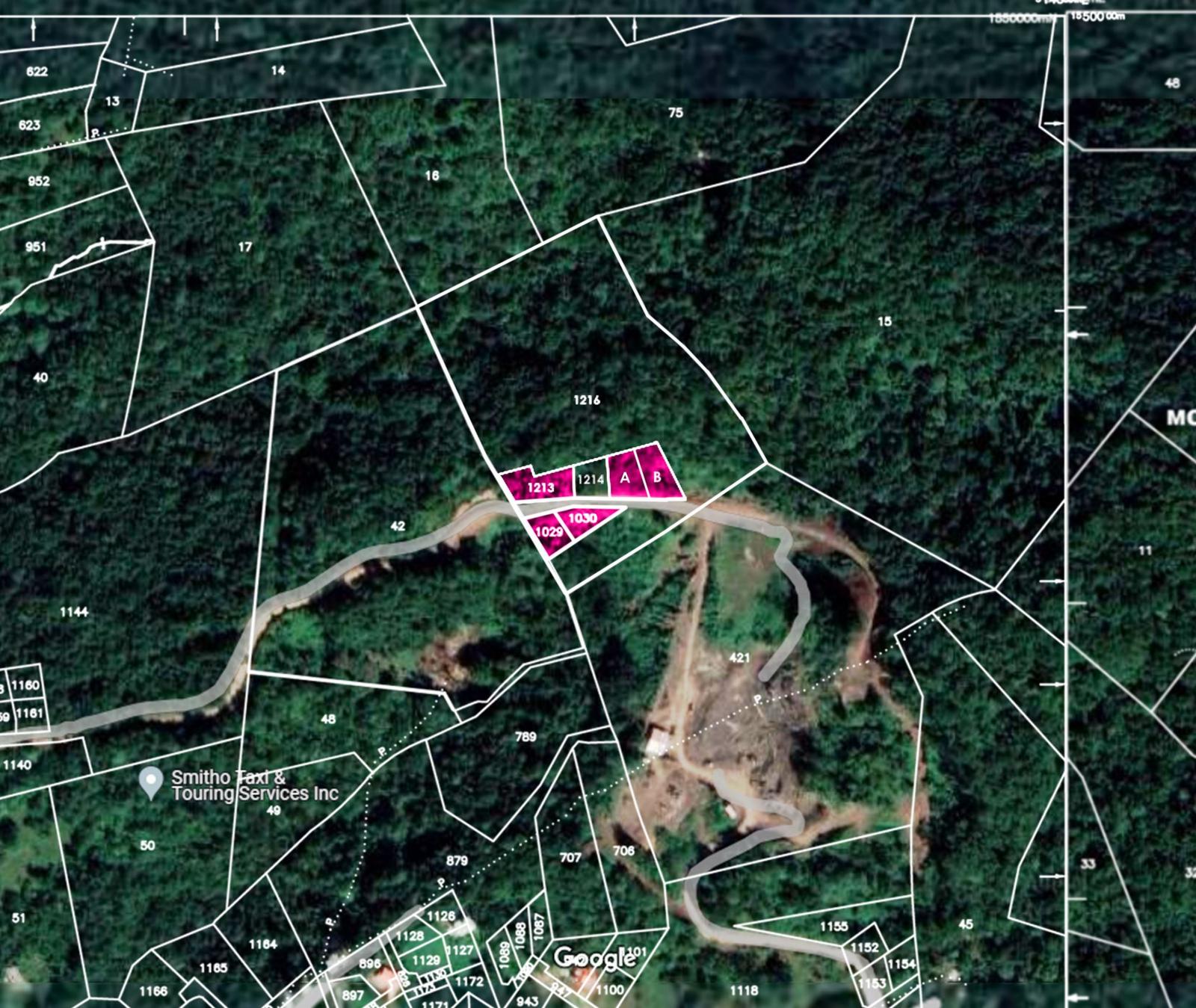 Affordable Elevated Lots for Sale in Balata: Build Your Dream Home in Paradise — photo 3