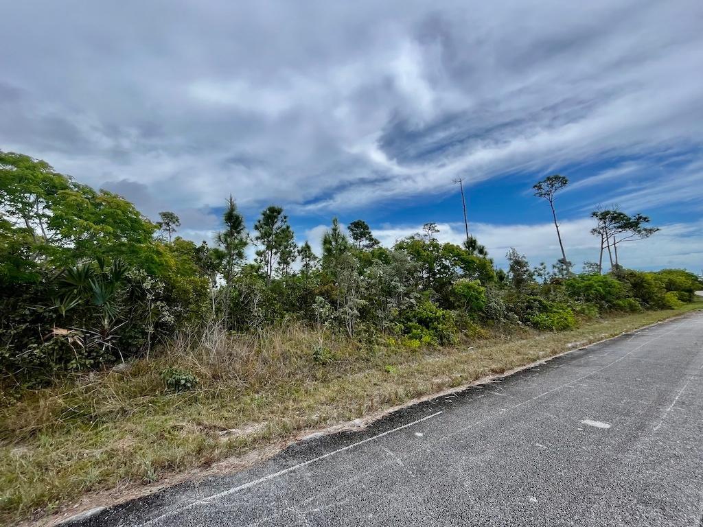 FORTUNE POINT LOT — photo 4