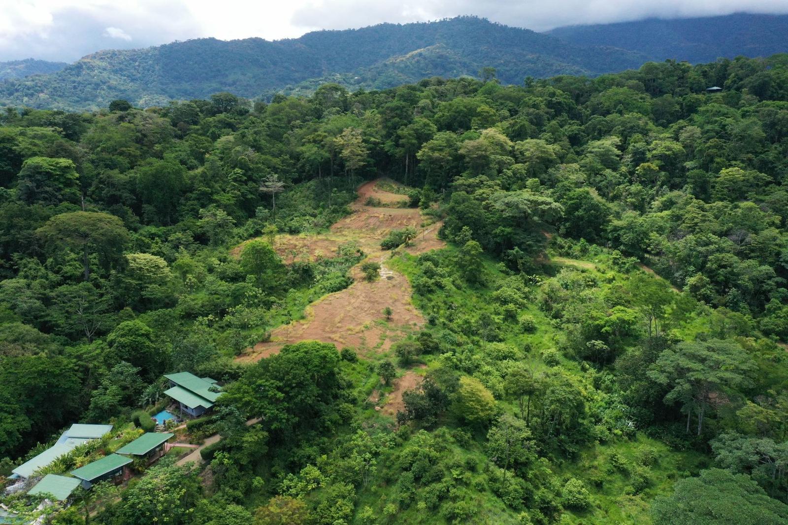 15.9 Acres of Development Land for Sale, Uvita, Puntarenas, Costa Rica — photo 2