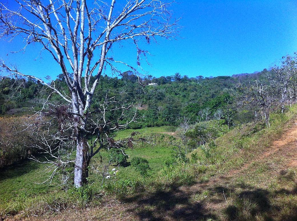 9.4 Hectares of Farm Land for Sale, Herradura, Jaco, Garabito, Puntarenas, Costa Rica — photo 2