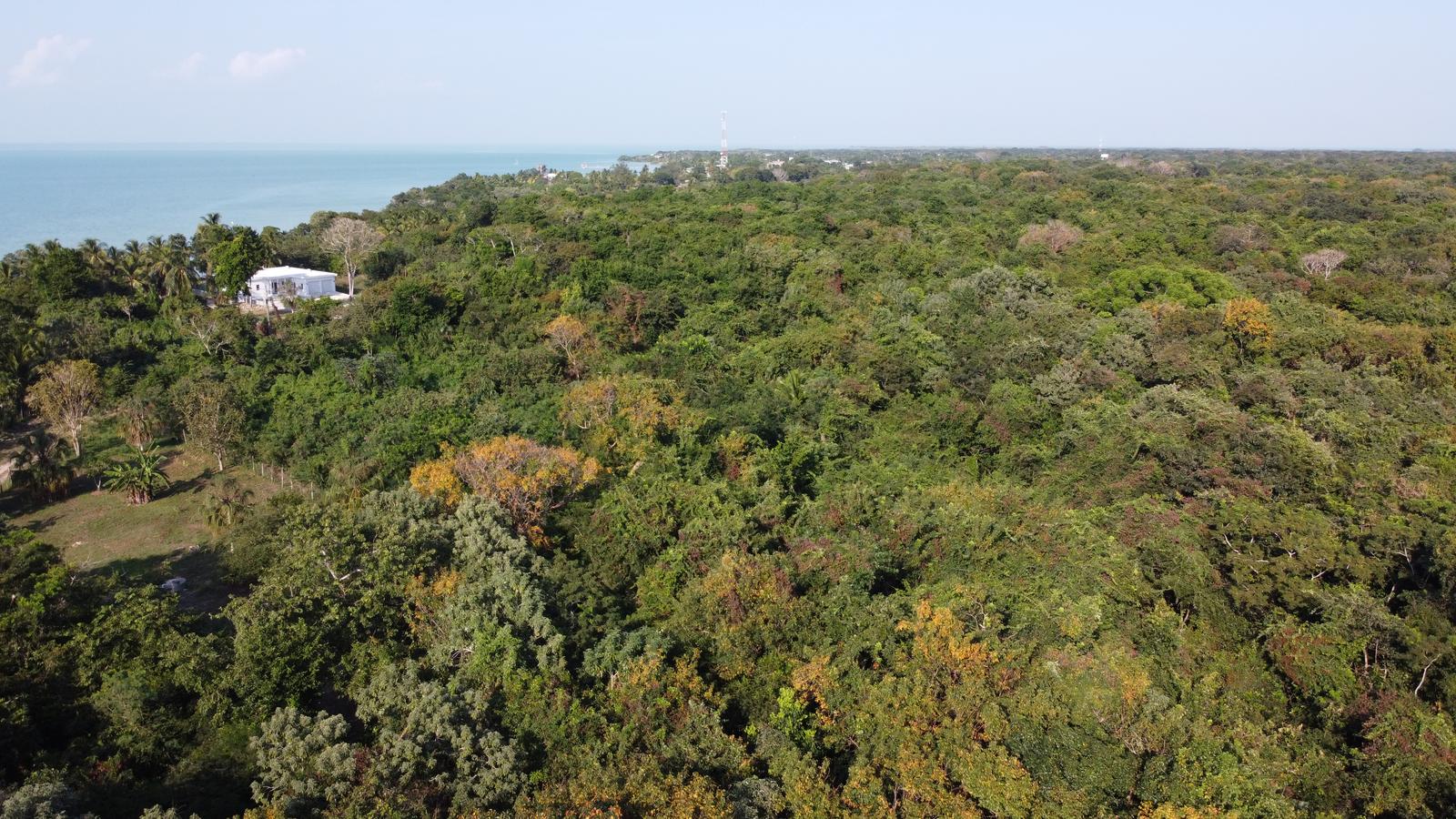 Prime Development Opportunity: 14.92 Acres at the Gateway to Sarteneja — photo 5