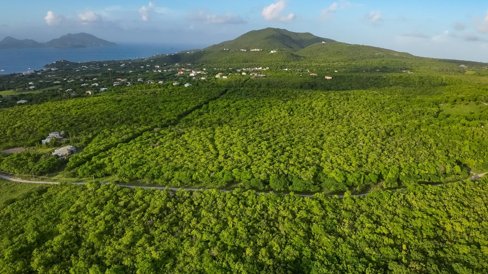 5 Acres of Land for Sale, Cotton Heights, St Thomas Parish, Nevis — photo 5
