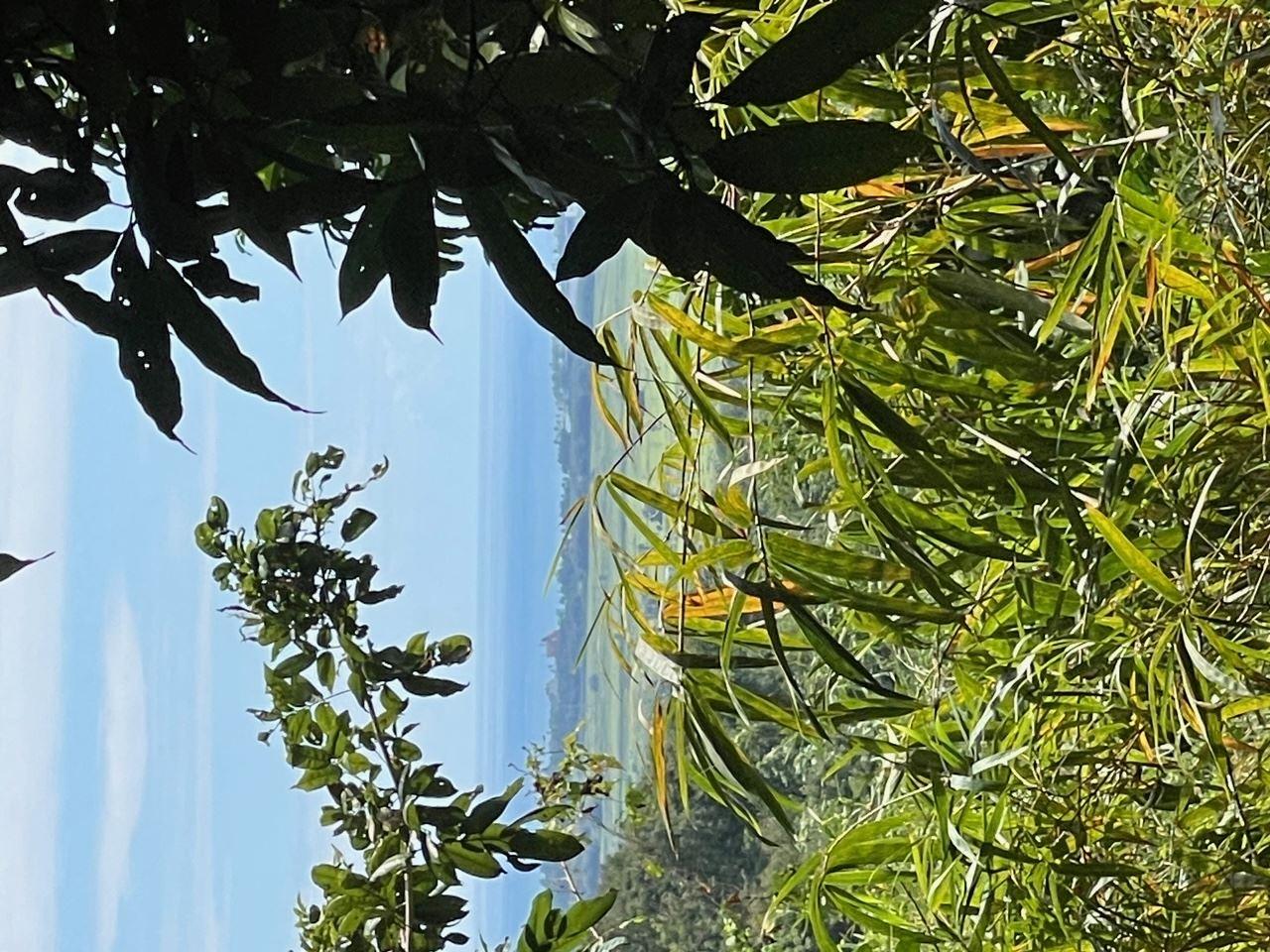 1,400 m² Mountain Lot in Yabucoa — photo 1