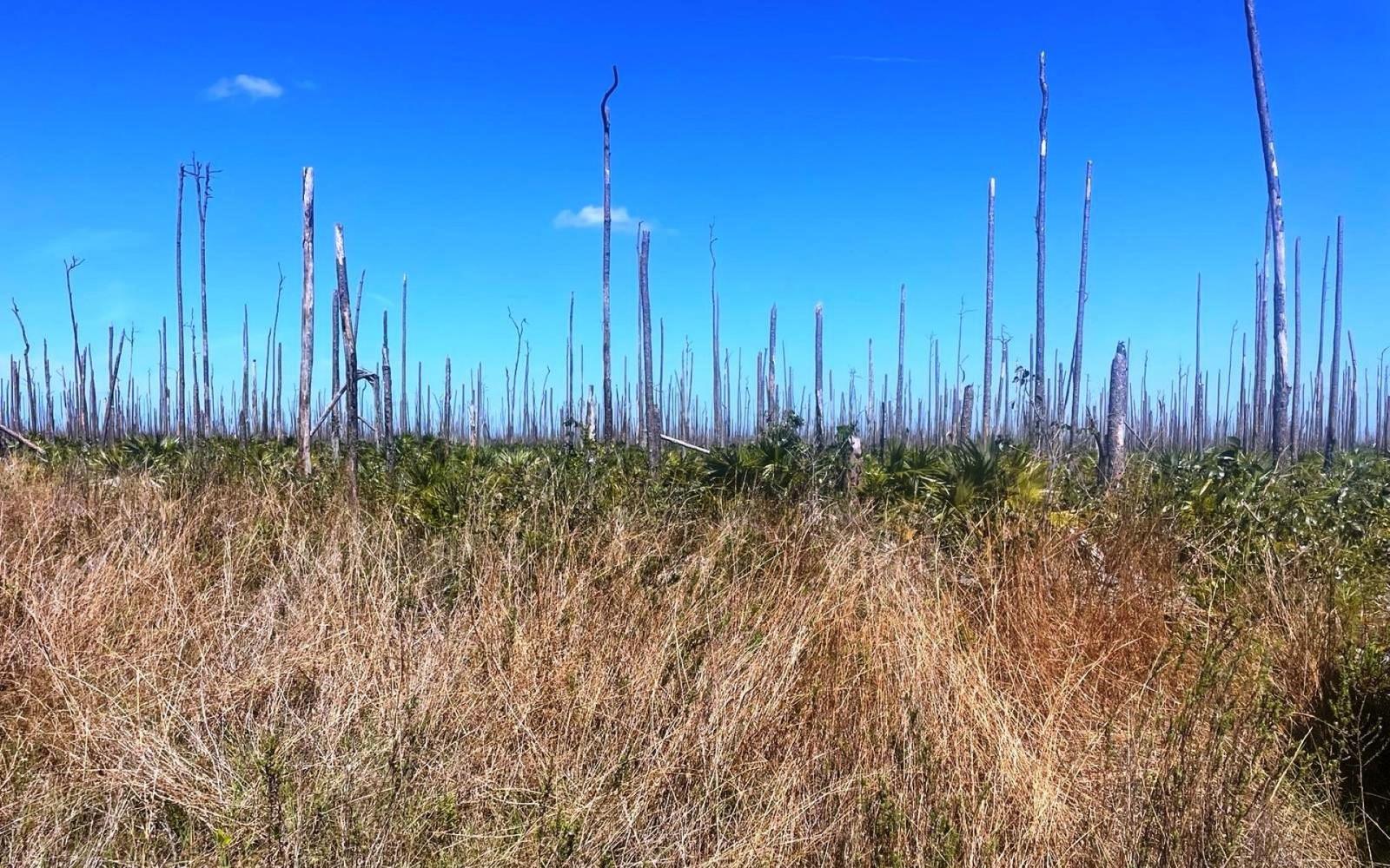 Vacant Land for Sale in Lucaya Estates, Bahamas — photo 1