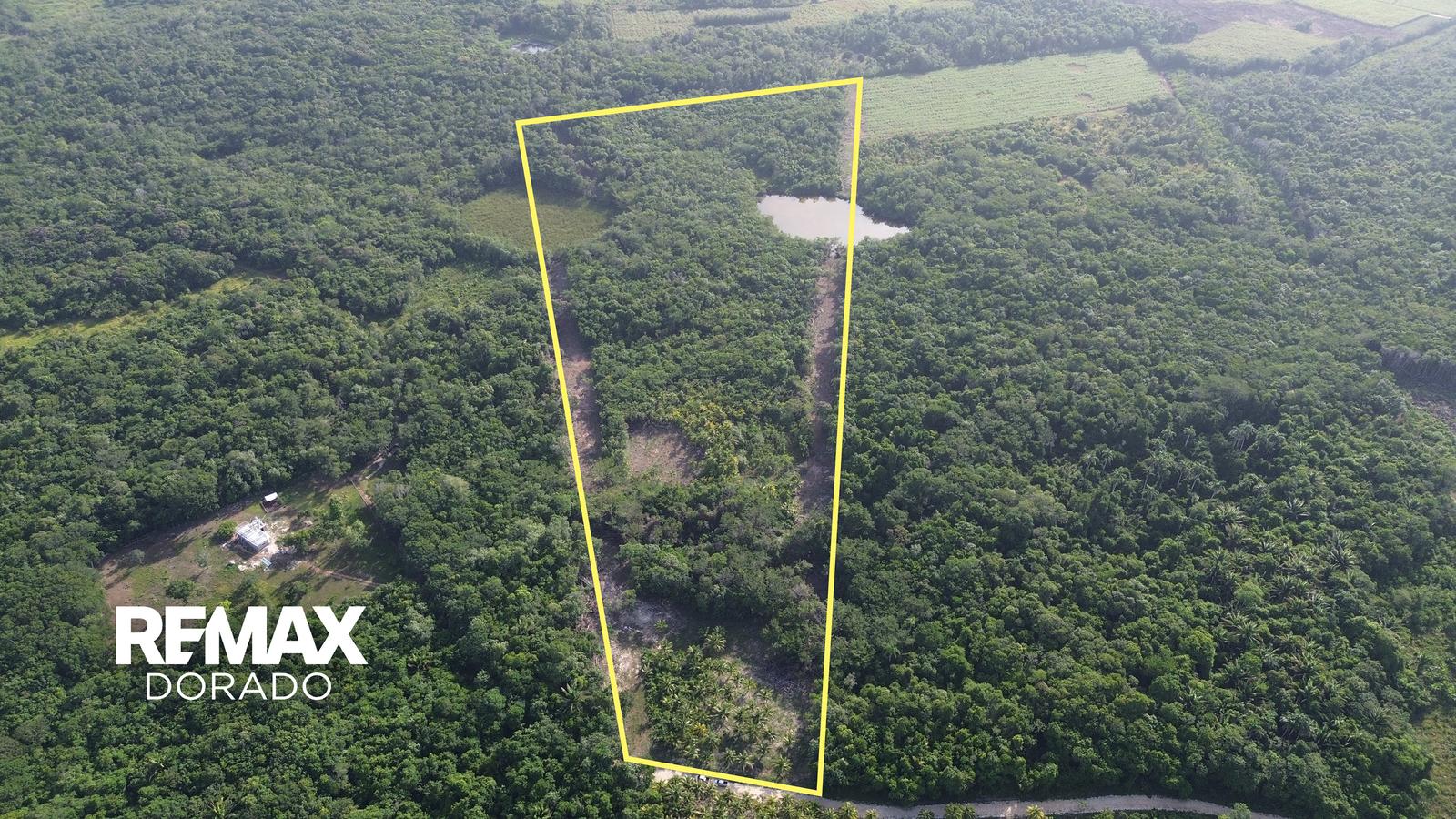 Prime Farm & Cattle Land in Santa Martha, Orange Walk District – Belize — photo 1