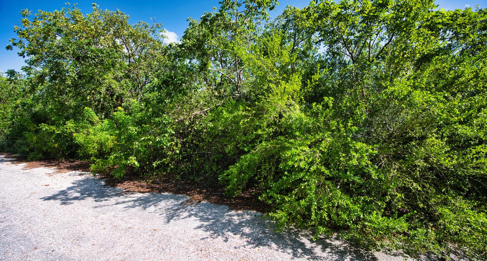 Leasehold - Lovely larger lot, Cayman Brac East — photo 2